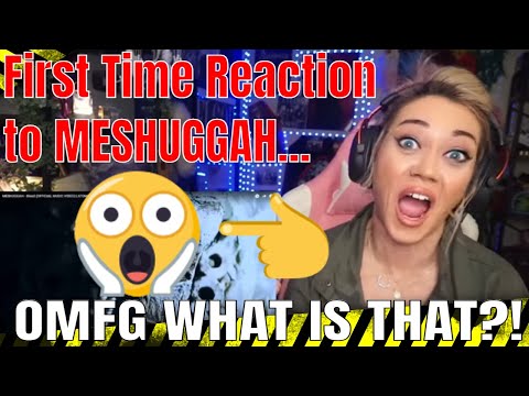 OMG WHAT IS THIS?! | Meshuggah "Bleed" | FIRST TIME REACTION | Reaction Video Funny