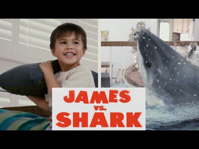 James vs. Shark