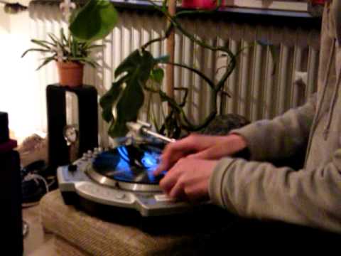 Dj Schwiegedy Schwan