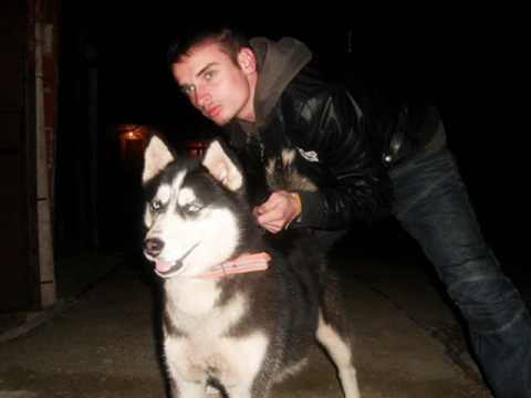 CrimiNoso - Art So Art Flow