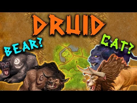Always level with CAT form | Classic WoW Druid Guide