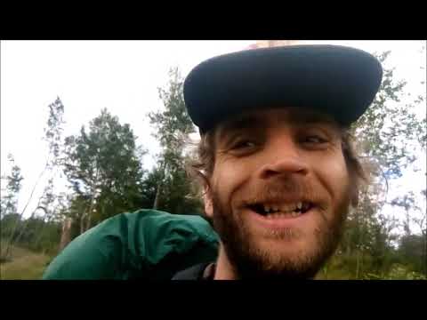 Harzer Hexenstieg Abenteuer - meine erste Langstreckenwanderung im  Sommer 2020