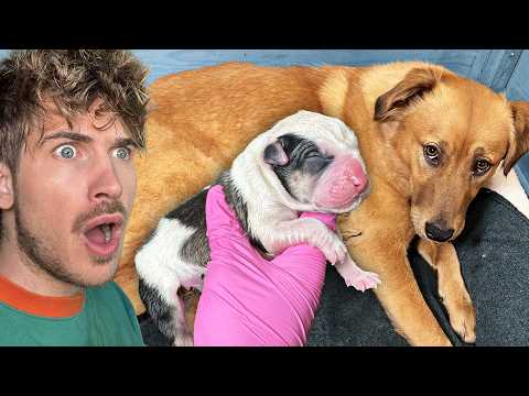 YouTube Thumbnail