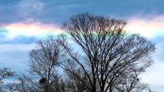 口笛 / Mr.Children (DAW 歌なし)t1