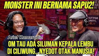 Download lagu DARI SAPU - SAPU SAMPAI SILUMAN PEMAKAN OTAK!! GAK PAHAM LAGI..‼️ mp3 Download lagu DARI SAPU - SAPU SAMPAI SILUMAN PEMAKAN OTAK!! GAK PAHAM LAGI..‼️ mp3