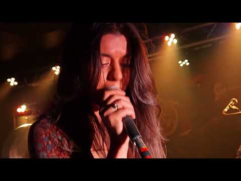 SIENA ROOT - 2025 // We Over / Ridin' Slow / Organic Intelligence