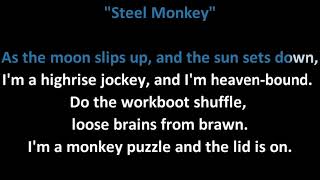 Jethro Tull - Steel Monkey