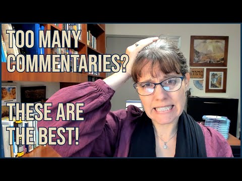 Top Twelve Bible Commentaries for Beginners