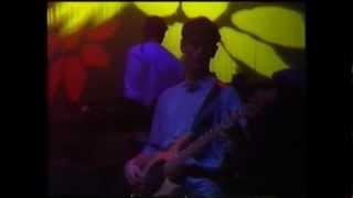 james - live - 1990