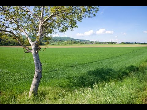 [Doku] Aufgetischt - Am Spielberg (HD)