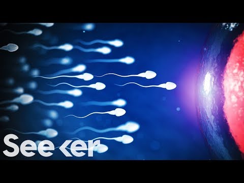 この新しい男性用避妊ジェルは実際に効果があるのでしょうか？ (Will This New Male Birth Control Gel Actually Work?)