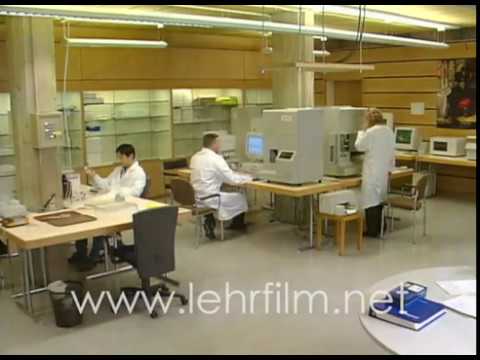 Lehrfilm Genetischer Fingerabdruck - Ausschnitt