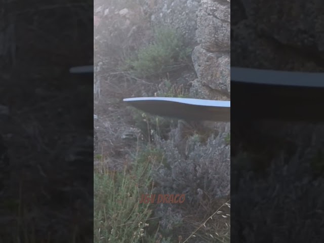 Vídeo relacionado con GVDV 14 Piezas Juego de Cuchillos de Caza, Cuchillo Desollador con Gancho para el Intestino, Cuchillo de Capa, Hacha, Sierra para Madera/hueso y Más