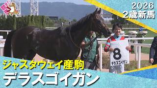 デラスゴイガンが差し返してマッチレースを制す！松山騎手「強い競馬だった」2026年10月3日(土)２歳新馬　京都ダート1800m　実況：石田一洋【カンテレ公式】