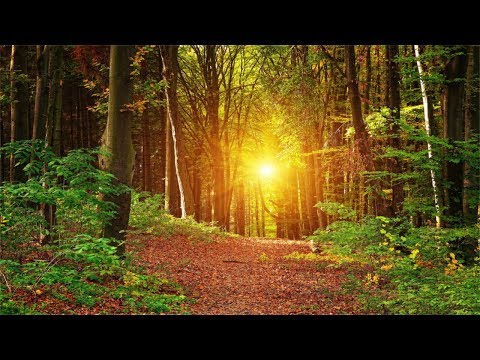 3 Hours Music, No Loops. Inner Peace, Relaxing, Soothing Music
