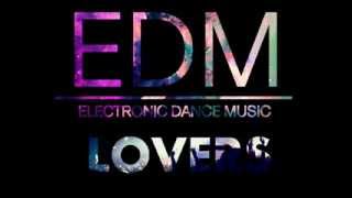 Morgan Page, Andy Caldwell - Where Did You Go (Bassjackers Remix)