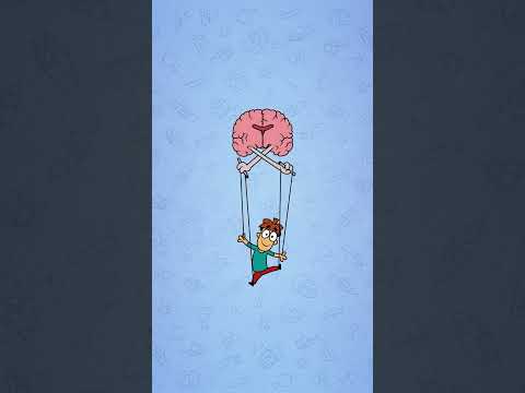 What if the corpus callosum of the brain is removed? #Brains #Neuron #MeetArnold