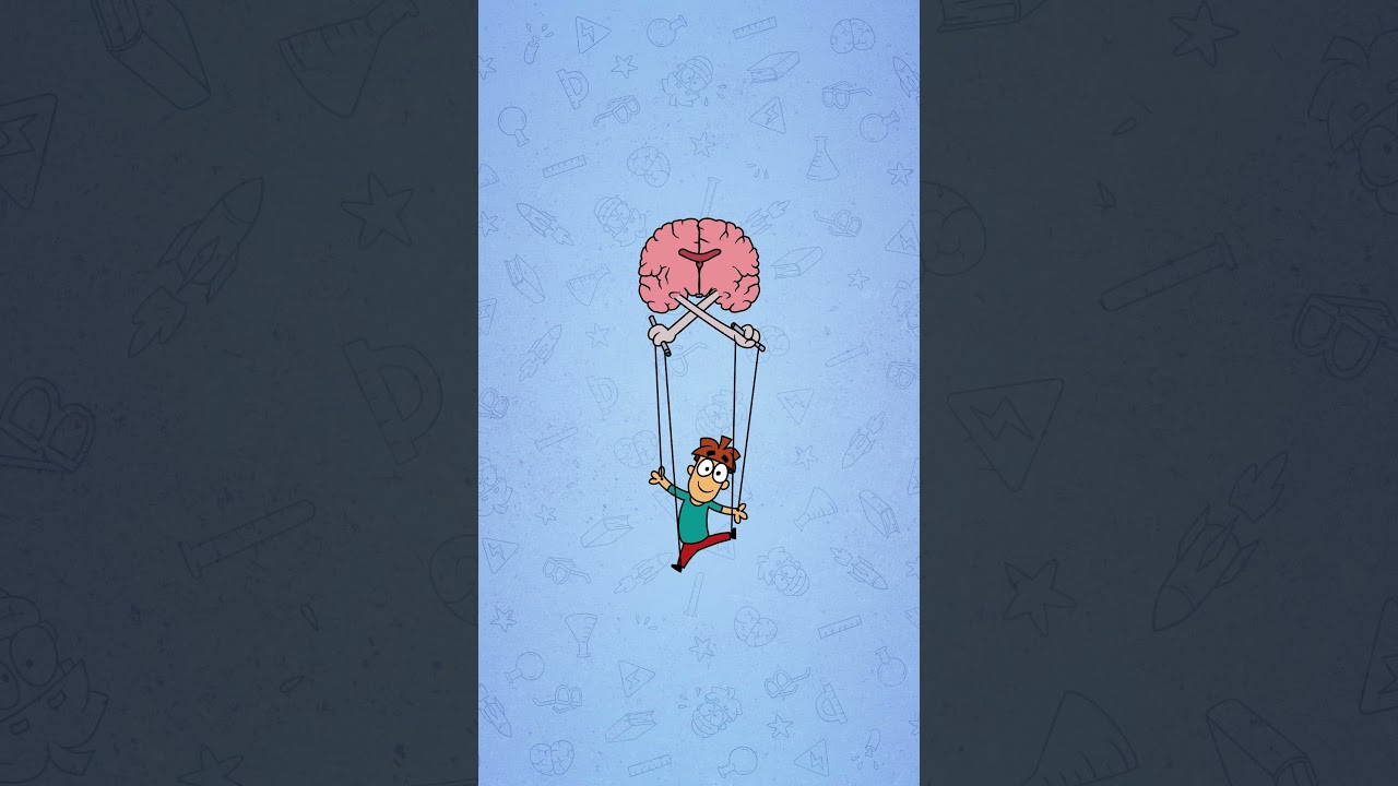 What if the corpus callosum of the brain is removed? #Brains #Neuron #MeetArnold