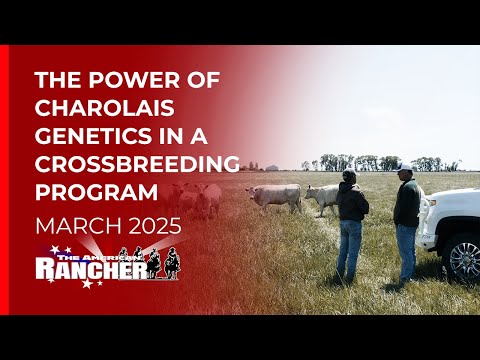 DeBruycker Charolais | The American Rancher | 03-17-25