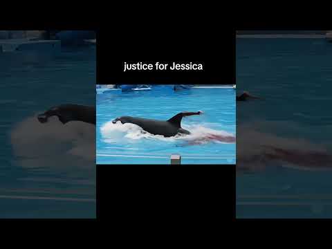 Justice for Jessica 💔🖤🥹|subscribe for Jessica ❤️💔🖤