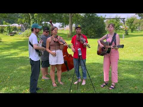 The Onlies - Gold Watch and Chain / Old Man Gone (Live)