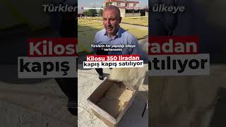 Kilogramı 350 liradan kapış kapış satılıyor!