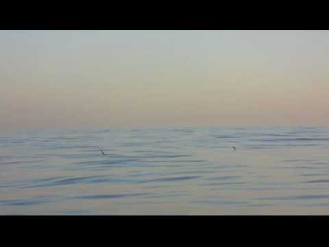 Wacht om 5 uur 's ochtends