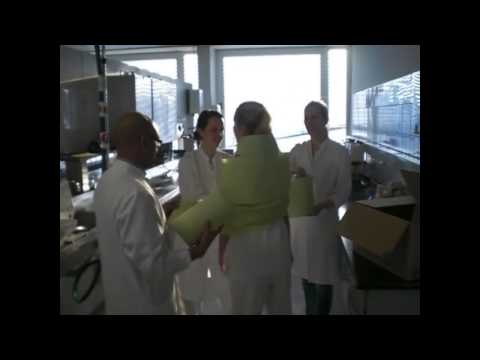 ZMK - Die Klinik der Träume