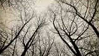 fotheringay - fairport convention