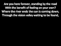 The Vines - Vision Valley (Lyrics in the video)