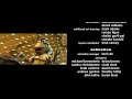 A Bug S Life Ζουζούνια 1998 ταινία Online ελληνικους υποτιτλους �