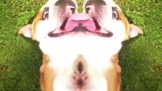 She just won't believe me