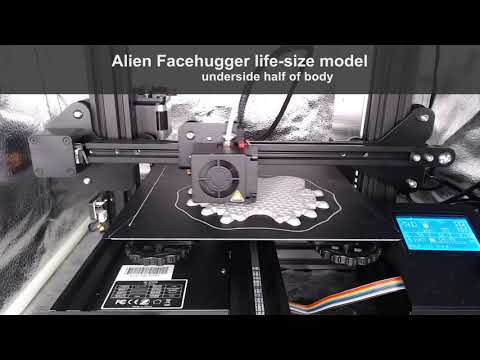 3D Printed Life-size Alien Facehugger - bottom(underside) half of body - time lapses