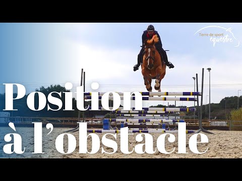 The 3 positions in show jumping
