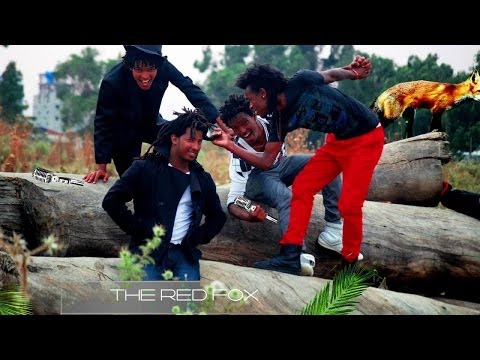 Hot New Ethiopian Music 2014 Valentine's Day By The Red Fox