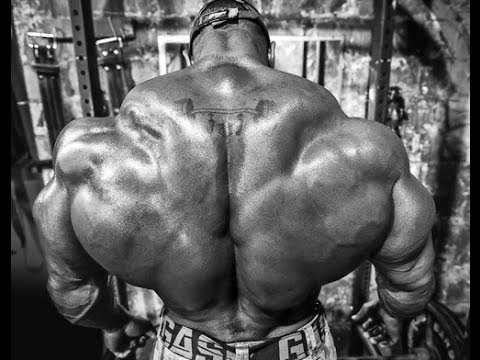 download lagu mp3 mp4 Biggest Traps In Bodybuilding, download lagu Biggest Traps In Bodybuilding gratis, unduh video klip Biggest Traps In Bodybuilding