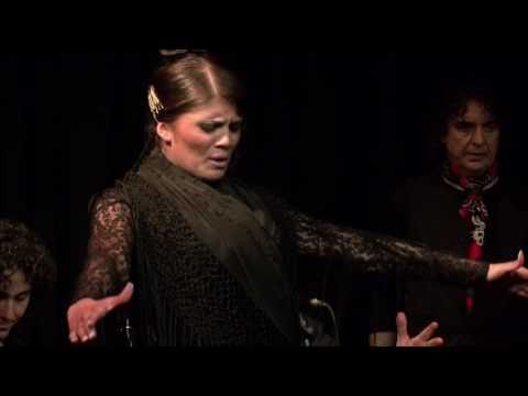 CASA PATAS, FLAMENCO EN VIVO #61 - SARAY DE LOS REYES, BAILAORA