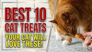 10 Best Cat Treats Every Feline Will LOVE 😻 | Pet Needs Revi