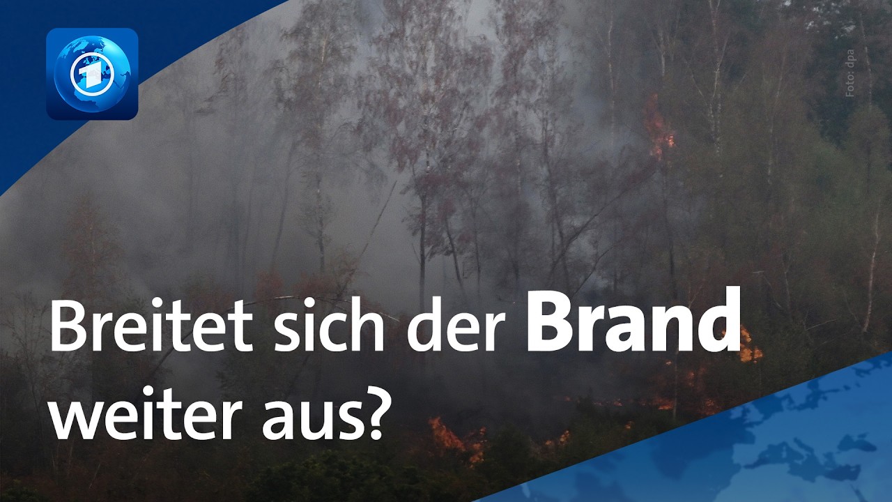Feuer in Hürtgenwald: Größter Brand in der Geschichte NRWs