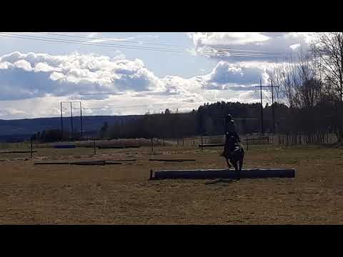 Ida & Doris terrängträning 210424