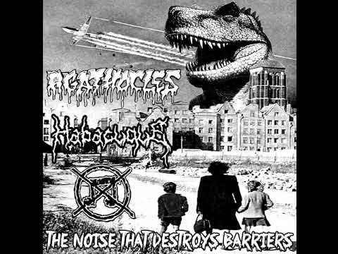 Split - Agathocles / Habacuque : The Noise That Destroys Barriers