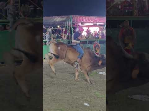 Rodeo El Segoviano SanFernando NuevaSegovia