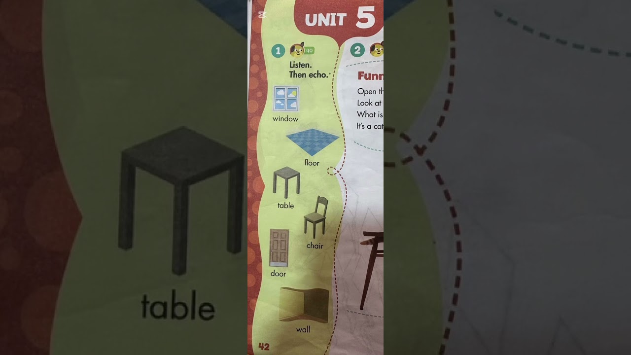 2 ci sinif ingilis dili Happy Campers seh .42  vocabulary