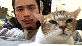 Cat and owner vibe to hotline bling