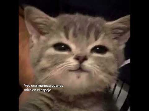 Moonlight kali uchis #lyrics #song #lyrics