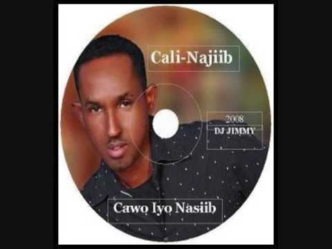 Ali Najiib (mardiwadi Dhigediyo)