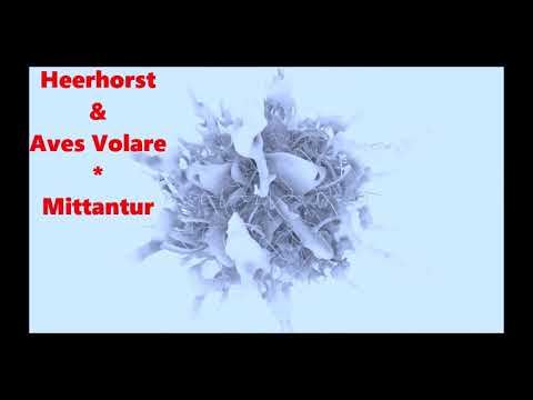 Heerhorst & Aves Volare    **  Mittantur