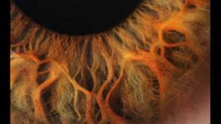 The Nommos - Tribal Weirdos