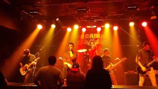 Beautifully Unplanned at Acadia