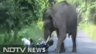 Narrow escape for bikers in jumbo attack